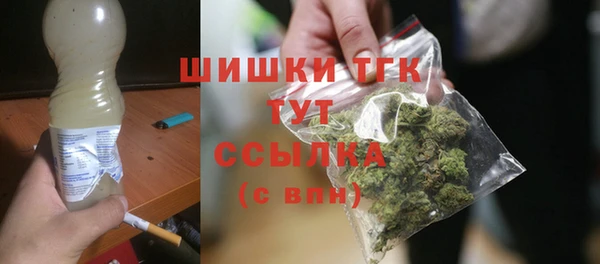 шишки Богородск