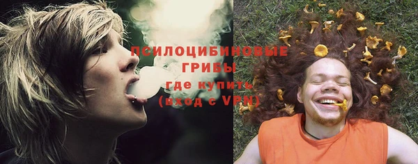 бошки Богородицк