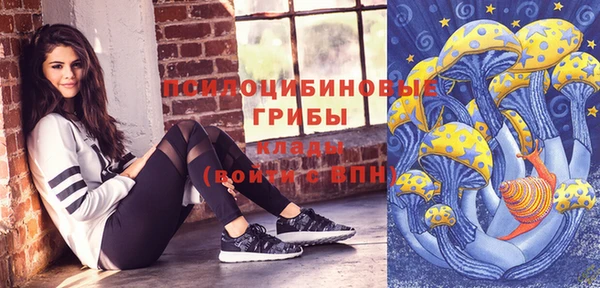 СК Богданович