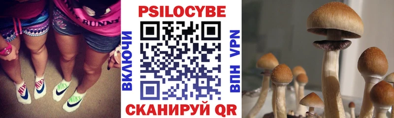 Псилоцибиновые грибы Cubensis  где найти наркотики  Кинешма 