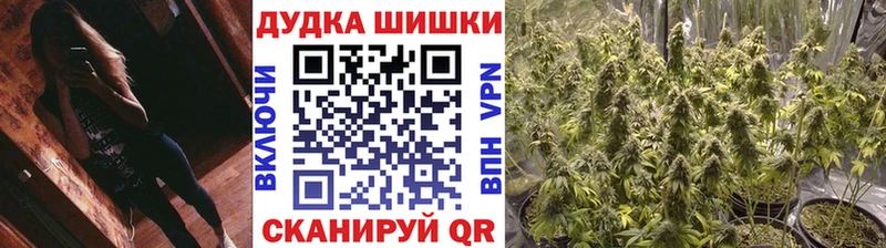 Бошки марихуана семена Кинешма